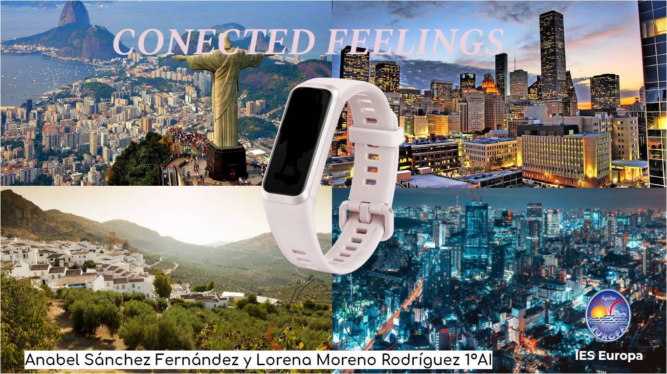 Ver Trabajo presentado CONECTED FEELINGS