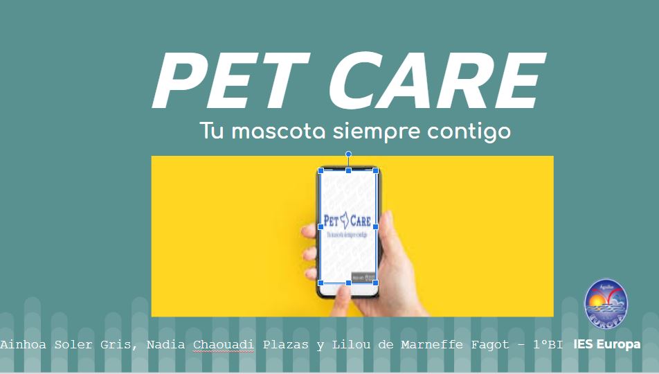 Ver Trabajo presentado